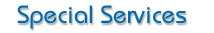 special services